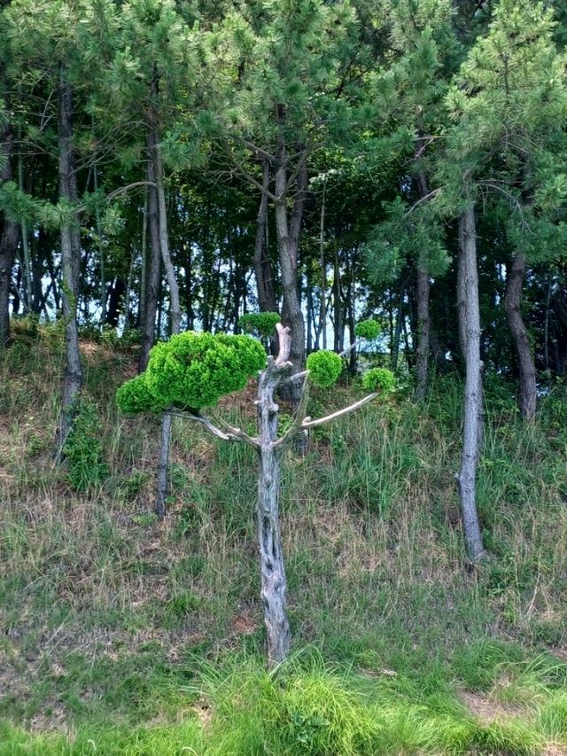 온 가족이 함께 즐기는 테마공원