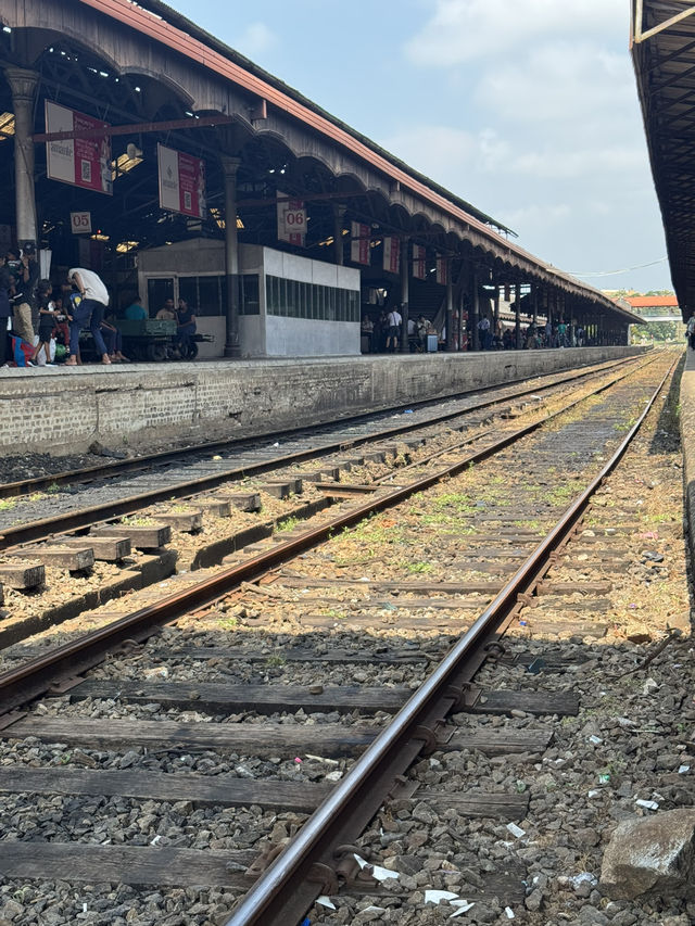 How to spend 6 days in Sri Lanka, country of Peacock