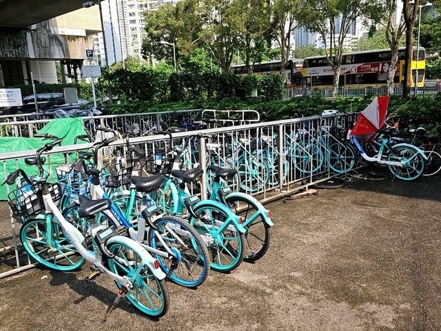 環境優美嘅城門河，無敵日落景色