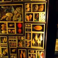 Manchester Museum