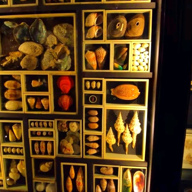 Manchester Museum