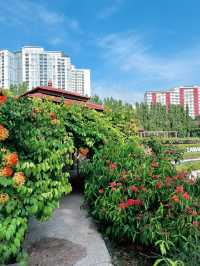 Laman Iskandar Puteri: A Floral Paradise in the Heart of Nature