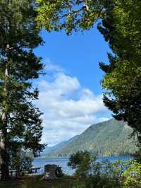 🌲 Olympic National Park Day Trip – Mountains, Lakes, Beaches & Twilight Vibes