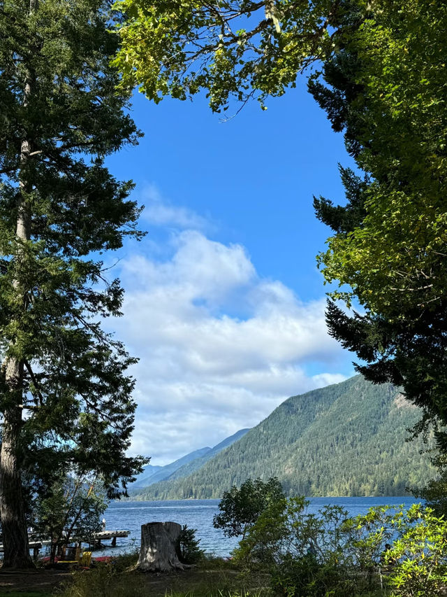 🌲 Olympic National Park Day Trip – Mountains, Lakes, Beaches & Twilight Vibes