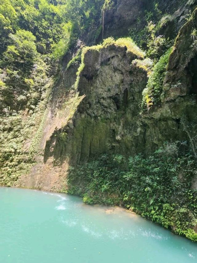 “Zhangjiajie Grand Canyon: A Glass Bridge to Nature’s Wonders”