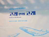 바다를 알 수 있는 곳