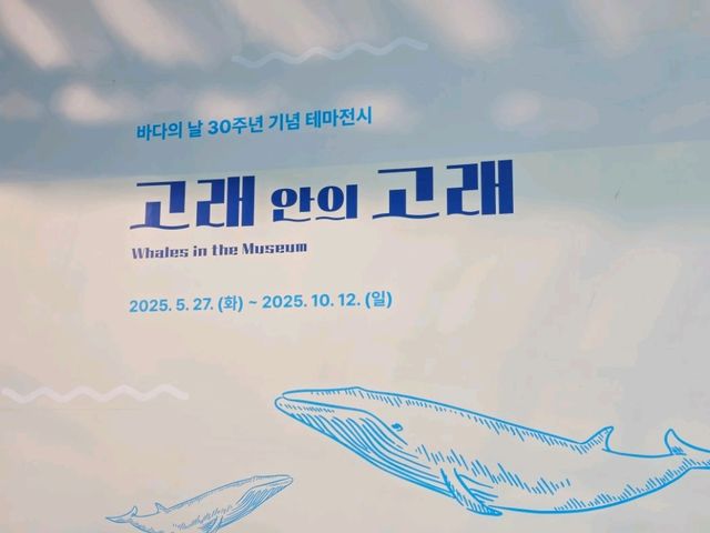 바다를 알 수 있는 곳