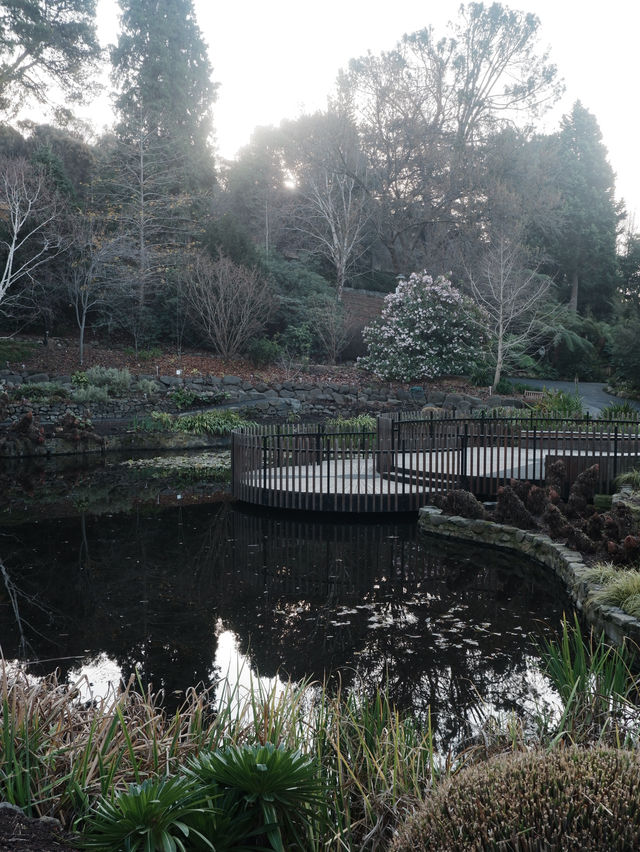 4 Days in Hobart: Nature, Art & Heritage in Tasmania’s Charming Capital 