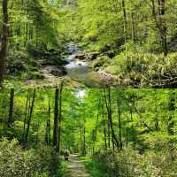 Into the Real-Life Avatar Mountains: A Zhangjiajie Adventure