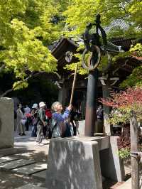 Mount Takao is the perfect half‑day escape: blend nature, culture, and light adventure