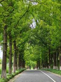 A Harmonious Blend Of Nature And Antiquity