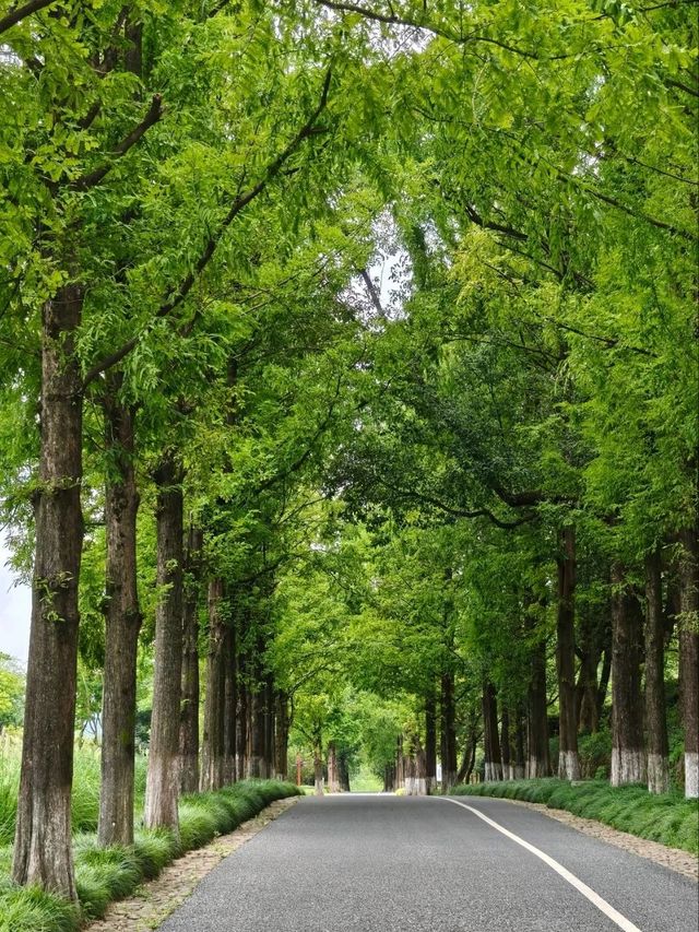A Harmonious Blend Of Nature And Antiquity
