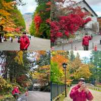 🌸 นิกโก้ – เมืองศักดิ์สิทธิ์ท่ามกลางธรรมชาติ 🌲🏯