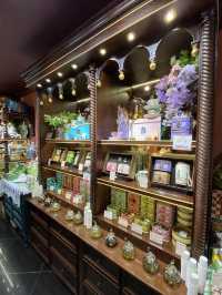南頭古城的人氣店-布蘭兔的植物莊園☕️🫖