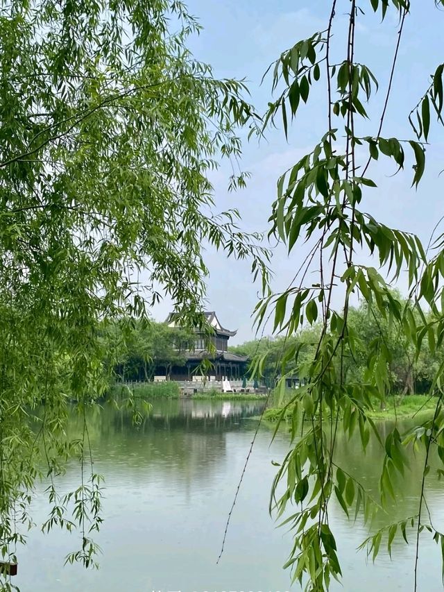 Xixi National Wetland Park – Hangzhou’s Liquid Emerald Xixi National Wetland Park – Hangzhou’s Liquid Emerald