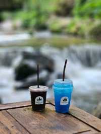 คาเฟ่ สัมผัสธรรมชาติ ที่ปางไฮ