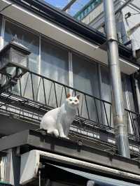 Yanaka Ginza