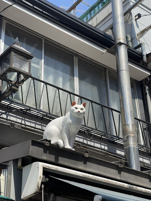 Yanaka Ginza  Yanaka Ginza