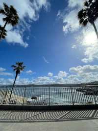 聖地牙哥 La Jolla 拉荷亞海灣 與海獅海豹一起賞日出
