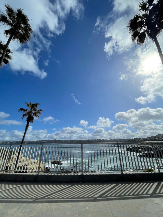 聖地牙哥 La Jolla 拉荷亞海灣 與海獅海豹一起賞日出