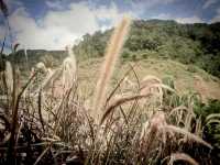 Tales of the tin mining towns: Kek Lok Si & Taiping