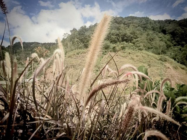 Tales of the tin mining towns: Kek Lok Si & Taiping