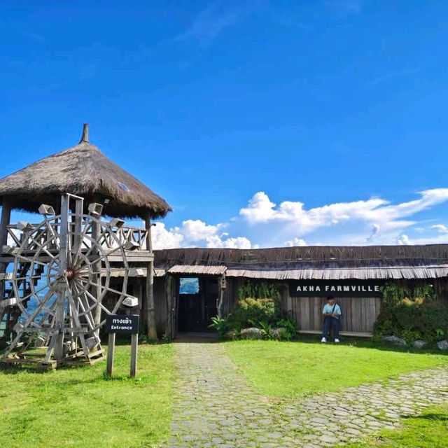 Akha FarmVille  ฟาร์มแกะสุดชิค