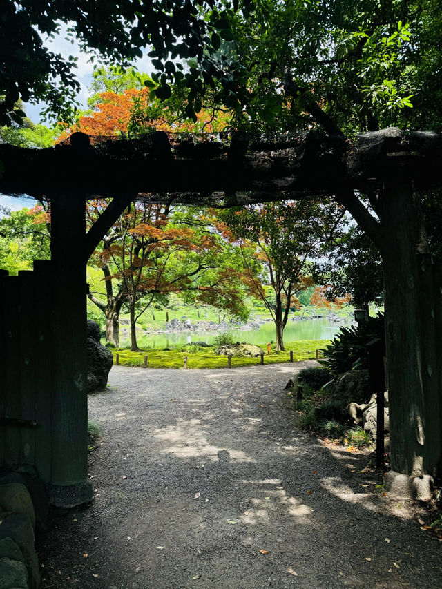【清澄庭院｜東京深巷裡的幽靜庭園】