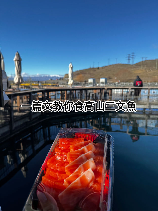 紐西蘭南島自駕必食！食$25份簡直人間極品！