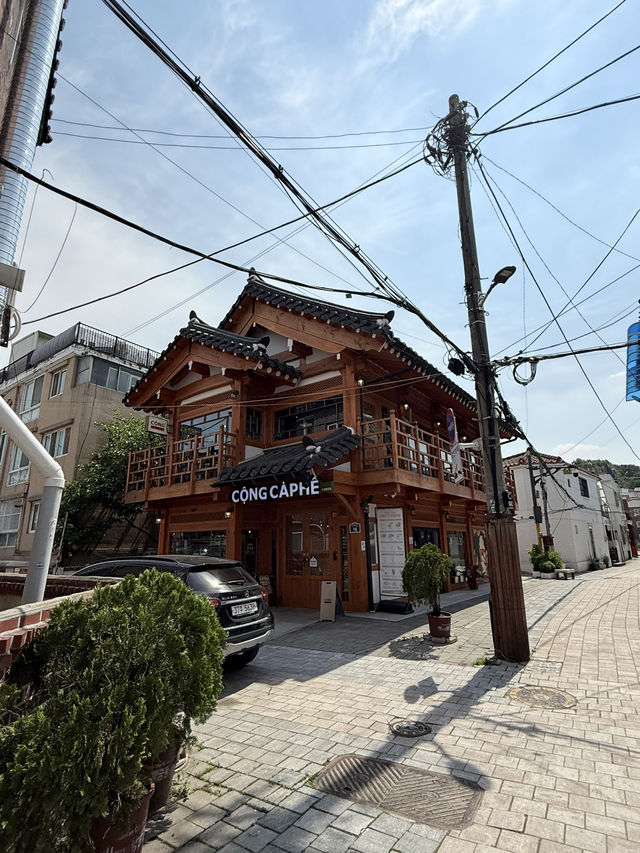 ✨ Trip in Suwon ✨