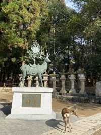 一日散策-奈良公園