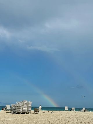 【Miami Beach｜Sea Fantasy Under the Sun】