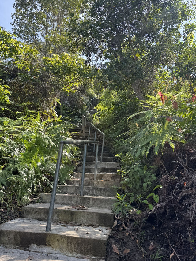 PANORAMA HILL