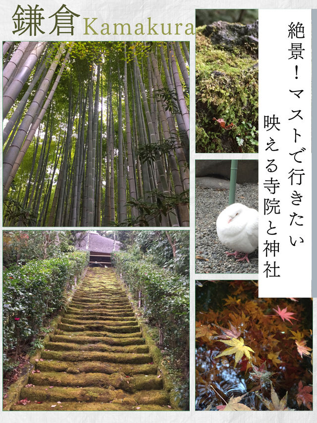 【鎌倉】絶景！マストで行きたい映える寺院と神社