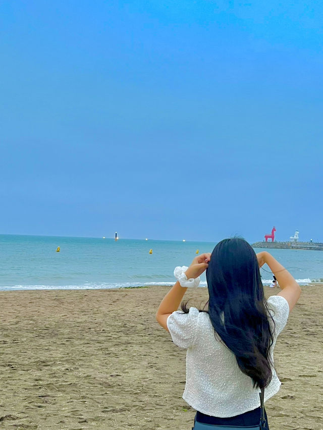 🌊제주 바다와 맛, 하루에 담다🍜✨