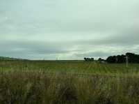 澳洲阿得雷德、墨爾本+新加坡親子遊