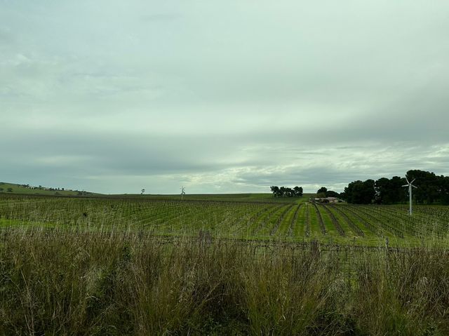 澳洲阿得雷德、墨爾本+新加坡親子遊