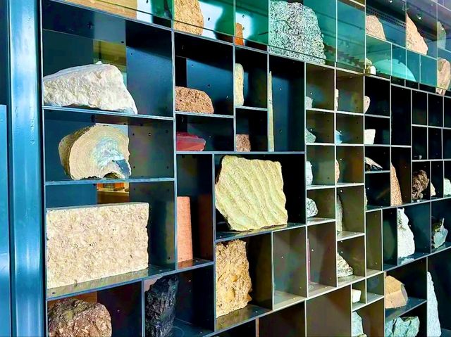 Lapworth Museum of Geology – A Journey Through Earth’s History
