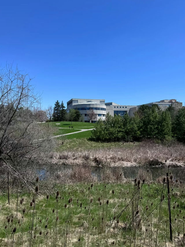 L’Amoreaux North Park – A Peaceful Urban Escape in Toronto