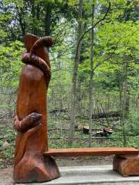 Crawford Lake Conservation Area – Nature and History Intertwined