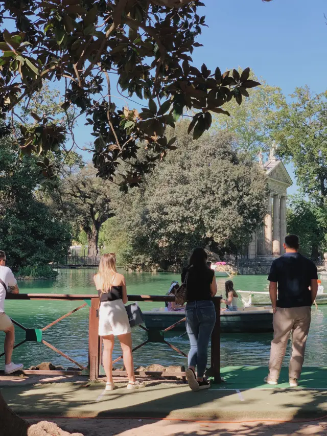 Greenery discovered among the ruins of Rome