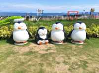 深圳|大梅沙海濱公園