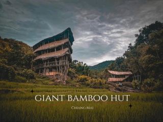 Giant bamboo hut in the middle of a rice terrace, Chiang Mai