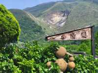 名陽匍休閒農莊：陽明山花季中的秘境天地