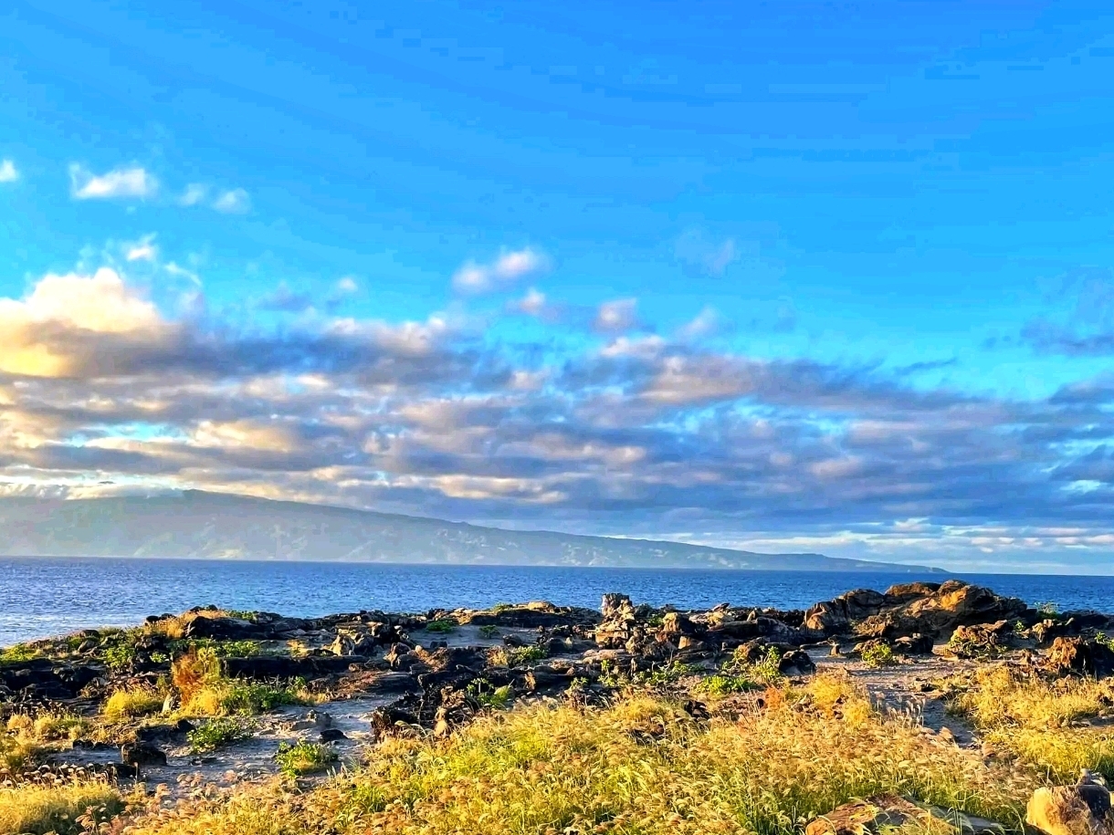 🌴 Kapalua Coastal Trail – Maui’s Oceanfront Walkway 🌊🌺
