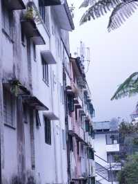 Cameron Highlands - city in the mist