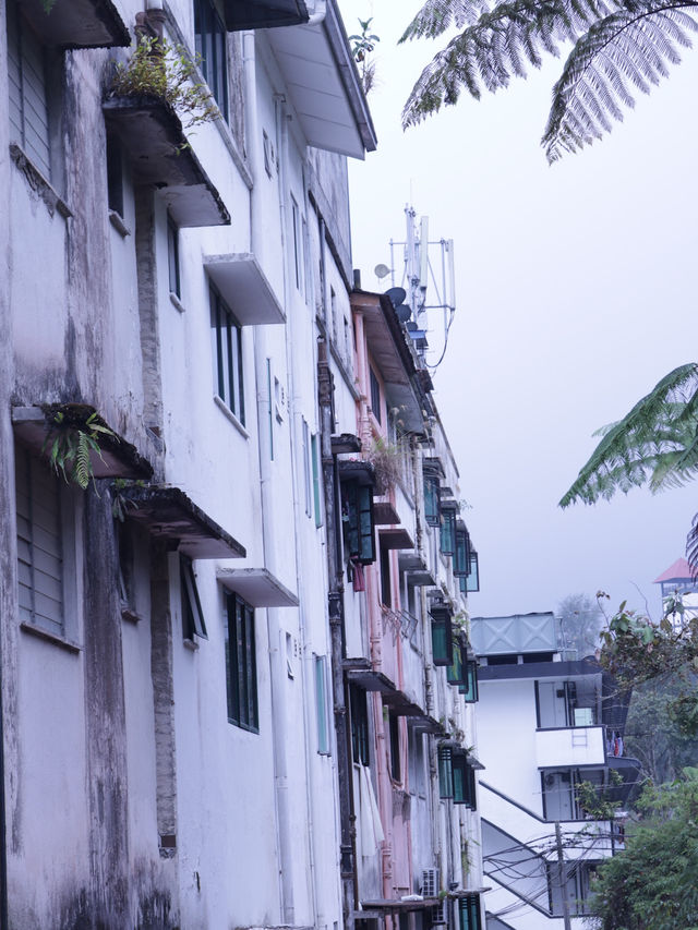 Cameron Highlands - city in the mist