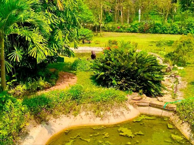 索巴植物園與泰屋博物館：走進自然與文化的綠色秘境