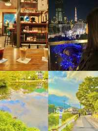 ️✨ 화려한 도쿄의 겨울 vs 소도시 감성 가득한 후쿠오카 근교 여름