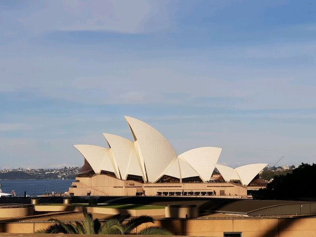 From Opera House Views to Golden Beaches — Discovering Sydney